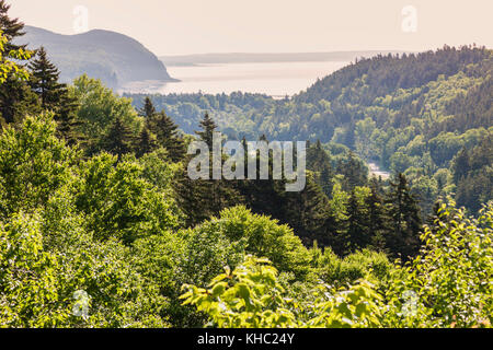 Panorama di fundy national park. New Brunswick, Canada. Foto Stock