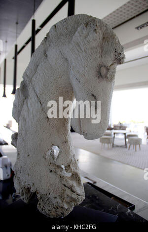 Corallo naturale testa di cavallo scultura, arte lavoro in Cheval Blanc Randheli, Maldive Foto Stock