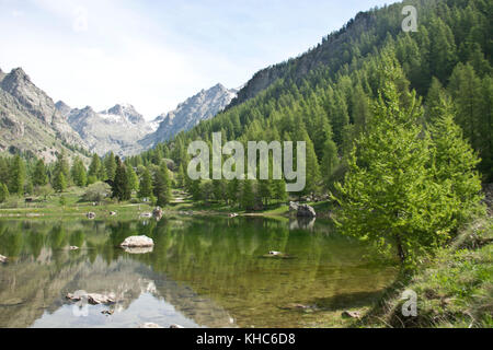 Vallée de la Gordolasque in Mercantour *** Caption locale *** Francia, Alpes du Sud, Mercantour, alpi, montagne, parco nazionale, valle, vallée de la Go Foto Stock