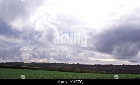 In autunno le colture cucita sul bordo del moro, Cornwall, Regno Unito Foto Stock