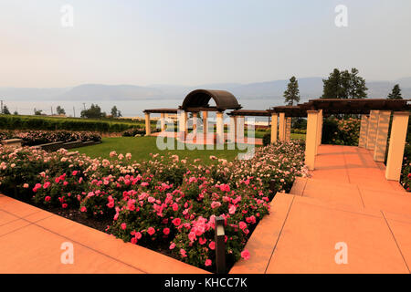 Il Cedar Creek Winery, West Kelowna, Okanagan Valley, British Columbia, Canada Foto Stock