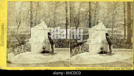 Fontana del bere, Silver Spring, Druid Hill Park, Baltimora, Maryland, 1900. Dalla Biblioteca pubblica di New York. Foto Stock