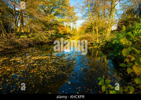 Wakehurst Place. Giardini maestosi con colori oro e rosso autunnali. Lago. Cammina. Sala da tè. Ristorante. Grandi alberi. Viste raffinate. Kew. NAT Trust. Foto Stock