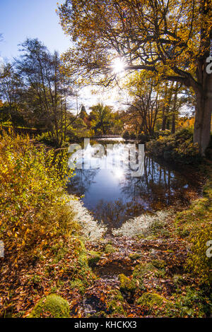 Wakehurst Place. Giardini maestosi con colori oro e rosso autunnali. Lago. Cammina. Sala da tè. Ristorante. Grandi alberi. Viste raffinate. Kew. NAT Trust. Foto Stock