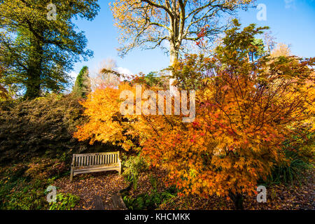 Wakehurst Place. Giardini maestosi con colori oro e rosso autunnali. Lago. Cammina. Sala da tè. Ristorante. Grandi alberi. Viste raffinate. Kew. NAT Trust. Foto Stock