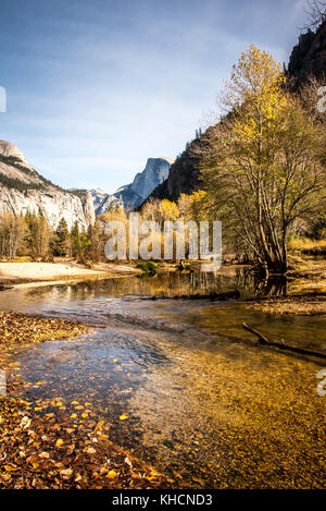 Foglie di autunno a bordo del fiume Merced nella valle di Yosemite, con acqua giallo riflettente alberi, mezza cupola in distanza, una bella cascata di giorno. Foto Stock