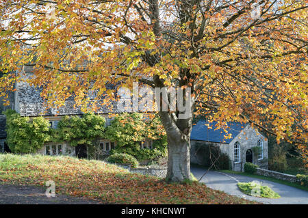 Cottage in pietra e in autunno faggio nel villaggio di Duntisbourne abbots in novembre. Cotswolds, Gloucestershire, UK. Foto Stock
