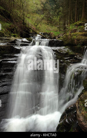 Una piccola cascata alla confluenza di nant bwrefwr e il suo ultimo tributario. Foto Stock