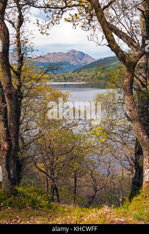 Vista sul Loch Lomond da West Highland Way trail, Scozia Foto Stock