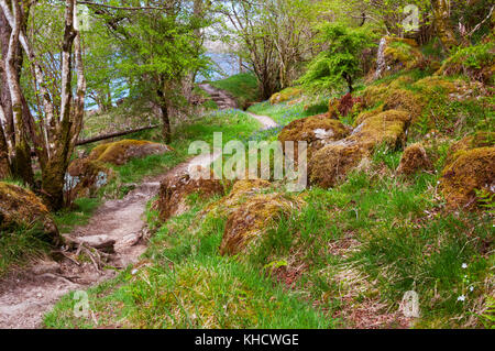 West Highland Trail lungo Loch Lomond, Scozia Foto Stock