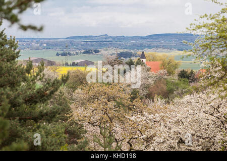 Blick auf die Kapelle Kirche von Timmenrode mit der Teufelsmauer im Hintergrund Foto Stock