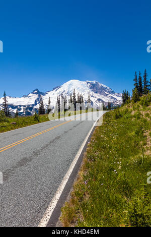 Strada in Mount Rainier National Park in Washington Stati Uniti Foto Stock