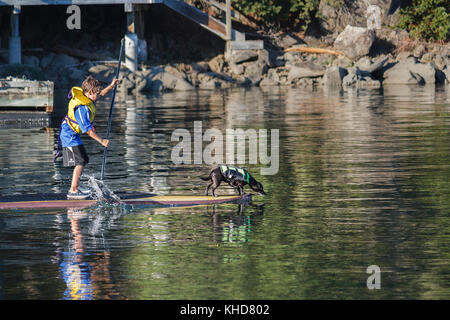 Un ragazzo e il suo cane, entrambi con giubbotti salvagente, viaggiate lungo il litorale a bordo di un stand-up paddleboard, con il cane sporgersi dalla prua. Foto Stock