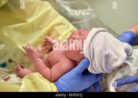 Neonato essendo controllati immediatamente dopo la nascita Foto Stock