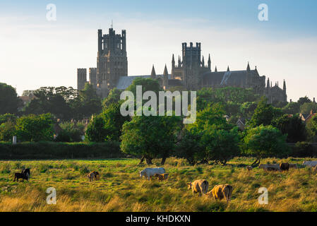 Ely Cambridgeshire, skyline di Ely che mostra la cattedrale medievale della città che torreggia sopra il fenland circostante, Cambridgeshire, Inghilterra. Foto Stock