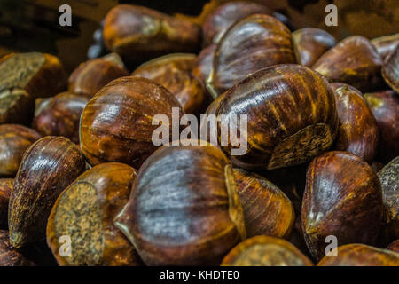 Una ciotola piena di saporite castagne commestibili pronto per essere tostato Foto Stock