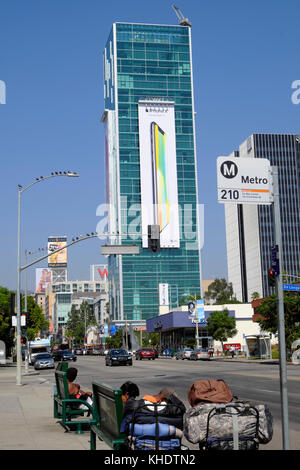 Persone senza dimora seduto su una fermata bus da banco e la vista del tramonto Vine Tower con Apple iPhone X annuncio a Hollywood, LA KATHY DEWITT Foto Stock