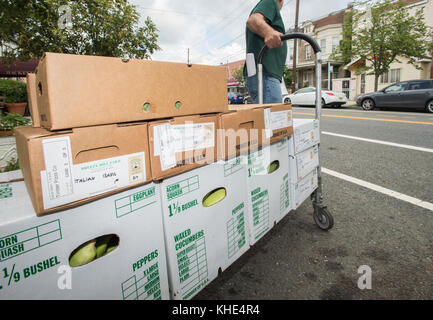 Il driver dei coltivatori organici di Tuscarora (TOG) James Hall consegna un ordine di produzione alla ditta di pizza del Timber nella zona metropolitana di Washington, D.C., il 2 agosto 2016. Il personale DI TOG, composto da 4 dipendenti a tempo pieno e fino a 18 dipendenti a tempo parziale, garantisce che ogni azienda riceva il 70-75% della vendita dei propri prodotti. Il saldo viene utilizzato per gestire la cooperativa e per effettuare consegne ai suoi mercati nell'area metropolitana di Baltimora-Washington. A partire dal 1988, Tuscarora conta attualmente 50 produttori-membri e genera circa 3.5 milioni di dollari di vendite annue. Le aziende agricole dei membri si trovano in media su 5-15 acri, con i loro prodotti principali Foto Stock