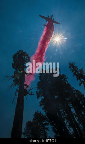 Cedro operazioni antincendio includono aria scesa ritardante del fuoco sulla montagna nera negli Stati Uniti Del Dipartimento dell'agricoltura (USDA) Forest Service (FS) Sequoia National Forest, vicino a Alta Sierra, CA, Martedì, 23 agosto 2016. Foto Stock