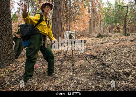 U.S. Department of Agriculture (USDA) Forest Service (FS) Adaptive Management Services Enterprise Team (AMSET) Fire Behavior Assessment Team (FBAT) Ecologo vigili del fuoco Alicia Reiner tiene un occhio attento al fumo lontano e si avvicina al fuoco durante un controllo in loco vicino al Cedar Fire che si trova nella Sequoia National Forest e nelle vicinanze, E Posey, California, mercoledì 24 agosto 2016. Alcuni controlli includono la scatola antincendio in acciaio inox con strati di protezione termica, l'unità di test principale, la telecamera a tempo, la durata della batteria, i sensori di terra, l'anemometro, il filo di attivazione e le condizioni dell'area generale. USDA Foto di L Foto Stock