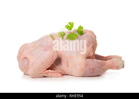 Una materie presentate spennate turchia guarnita con un rametto di prezzemolo, su uno sfondo bianco, con uno spazio vuoto sulla parte superiore Foto Stock