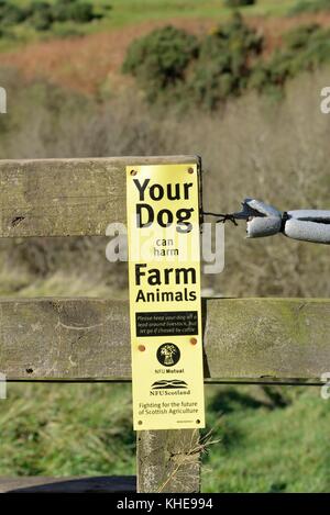 Un segno dal Sindacato Nazionale degli Agricoltori di avvertimento del danno arrecato agli animali da fattoria da cani sciolti in campagna. Foto Stock