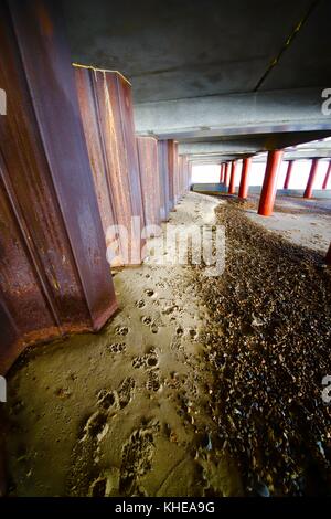 Cane e uomo orme nella sabbia sotto Felixstowe Pier. Suffolk, Regno Unito. Foto Stock