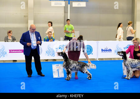 Giudice esaminando cane sul World dog show Foto Stock