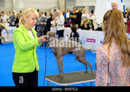 Giudice esaminando cane sul World dog show Foto Stock