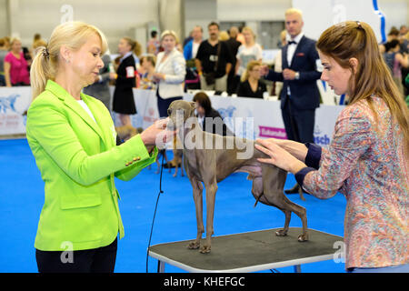 Giudice esaminando cane sul World dog show Foto Stock