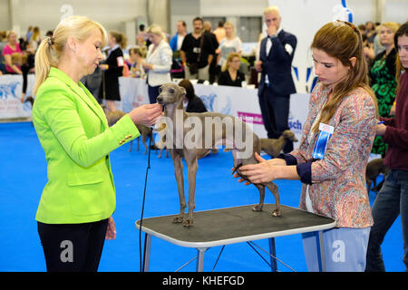 Giudice esaminando cane sul World dog show Foto Stock