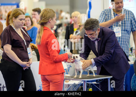 Giudice esaminando cane sul World dog show Foto Stock