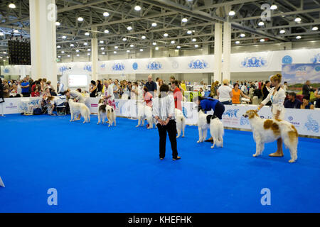 Giudice esaminando cane sul World dog show Foto Stock