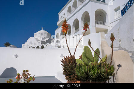 Case tipiche e la cupola della chiesa ortodossa mitropolis ypapanti, villaggio thira, isola di Santorini, Cicladi, Egeo, Grecia Foto Stock