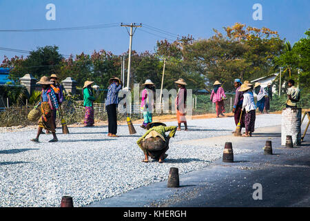 Kalaw, myanmar-Marzo 5, 2017: donne birmane sono al lavoro per costruire una strada vicino a Kalaw il 5 marzo 2017, Myanmar. (Birmania) Foto Stock