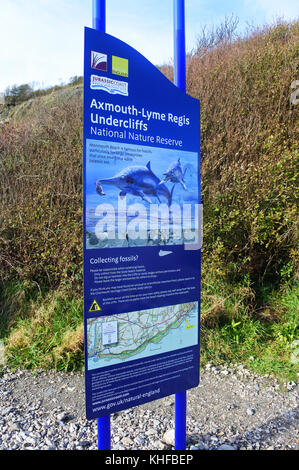 Segnaletica informativa su Monmouth Beach, Lyme Regis, Dorset, UK - John Gollop Foto Stock