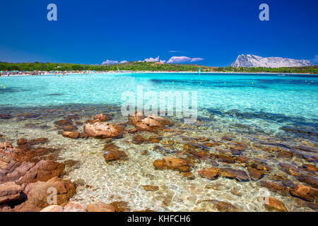 Cala Brandinchi beach con isola travolara in background, pietre di colore rosso e azzurro acqua chiara, Sardegna, Italia Foto Stock