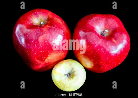 Due big red mature mele appetitosi su sfondo nero e uno verde rugoso Foto Stock