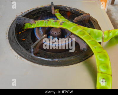 Grigliati fagioli amaro sul fornello a gas Foto Stock