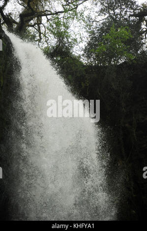 Henrhyd falls / sgwd henrhyd. a 90 piedi, questo è il più alto la cascata nel Galles del Sud. Foto Stock