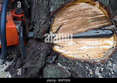 Struttura di sezionatura con chainsaw close up Foto Stock