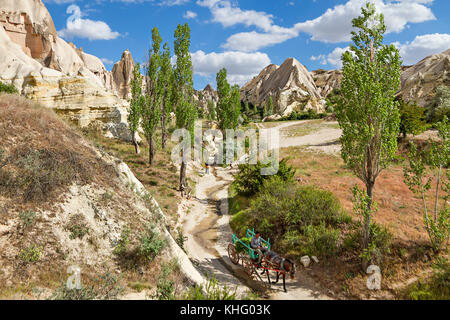 Vista sulle formazioni vulcaniche con gli escursionisti e un cavallo disegnato carrello, in Cappadocia, Turchia. Foto Stock