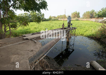 Questa pompa per acqua di superficie a Gilsizer Slough non può essere utilizzata quest'anno a causa delle condizioni critiche di siccità a Yuba City, CA, Venerdì, 28 agosto 2015. La pompa normalmente aspirava acqua dalla tosse per l'irrigazione agricola, ma sempre meno acqua è stata prelevata negli ultimi quattro anni. Ora, non si può aspirare acqua. Un pozzo (vicino) è stato perforato per disegnare acqua macinata dalla falda acquifera sottostante. Il flusso d'acqua viene erogato a questo e ad altri campi tramite tubi sotterranei, valvole di controllo e canali superficiali. Altri campi che utilizzano il Gilsizer Slough sono stati aiutati dal Dipartimento degli Stati Uniti DI A. Foto Stock