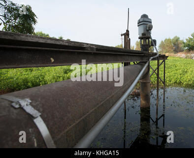 Questa pompa per acqua di superficie a Gilsizer Slough non può essere utilizzata quest'anno a causa delle condizioni critiche di siccità a Yuba City, CA, Venerdì, 28 agosto 2015. La pompa normalmente aspirava acqua dalla tosse per l'irrigazione agricola, ma sempre meno acqua è stata prelevata negli ultimi quattro anni. Ora, non si può aspirare acqua. Un pozzo (vicino) è stato perforato per disegnare acqua macinata dalla falda acquifera sottostante. Il flusso d'acqua viene erogato a questo e ad altri campi tramite tubi sotterranei, valvole di controllo e canali superficiali. Altri campi che utilizzano il Gilsizer Slough sono stati aiutati dal Dipartimento degli Stati Uniti DI A. Foto Stock