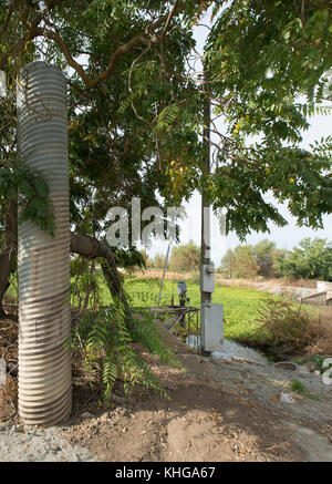 Dipartimento dell'Agricoltura degli Stati Uniti (USDA) Servizio di conservazione delle risorse naturali (NRCS) progetto Gilsizer Slough vicino South Township Rd, Yuba City, CA, Venerdì, Agosto 28, 2015. Il progetto prevede l'installazione di 40 sistemi di irrigazione ad alta efficienza (risparmio idrico del 50%) e di 40 colture vegetative e strisce filtranti; l'adozione di pratiche di gestione dei nutrienti e degli parassiti da parte di 40 produttori. Il campo ha ormeggio che contengono questo frutteto di prugne (non collegato ai progetti USDA) che normalmente usa irrigazione alluvione per coprire il terreno con acqua di superficie pompata (centro) dal Gilsizer Slough adiacente. Foto Stock