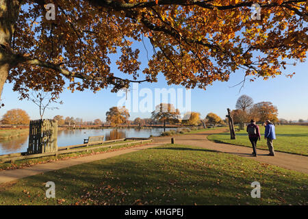 Bushy Park, SW LONDRA, REGNO UNITO. 17 novembre 2017. Golden colori autunnali accanto al laghetto di airone a Bushy Park, a sud-ovest di Londra. Foto Stock