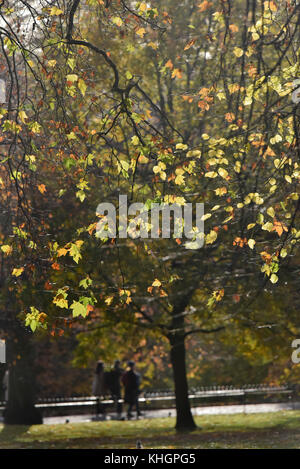 St James's Park, Londra, Regno Unito. 17 novembre 2017. Colori autunnali nel St James's Park di Londra. Crediti: Matthew Chattle/Alamy Live News Foto Stock