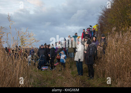 Birdwatching, o birdwatching, birders, binocoli di osservazione della fauna selvatica, oscilloscopi, ottiche, treppiedi a Burscough, Lancashire, Regno Unito Meteo 18 novembre, 2017. Spettacolari stormi di Starling mumurano sulla riserva naturale Martin Mere al tramonto, come si stima cinquantamila stelle si riuniscono all'inizio di un inverno freddo, e le prime notti di thje scatenano questo raduno autunno e raggruppamenti. Il mormorio o la vibrazione, l'interazione tra i numeri enormi mentre volano, è abbastanza intensa ed è pensato per formare parte di una comunicazione di genere. Questi greggi enormi sono il più grande visto negli ultimi 12 anni e sono un Foto Stock