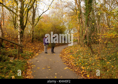 Burscough, Lancashire, Regno Unito meteo 19 novembre 2017. Bene, asciutto e freddo per iniziare la giornata per gli amanti del birdwatching e gli escursionisti in zone boschive Martin mera zona umida riserva naturale. Il credito. MediaWorldImages/AlamyLiveNews. Foto Stock