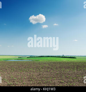 Agricoltura campo primaverile e cloud in cielo blu Foto Stock